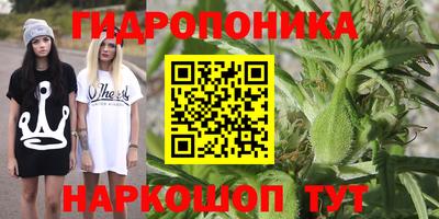 спиды Волгодонск