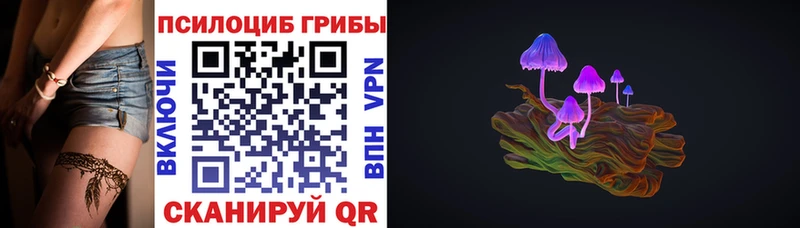 Галлюциногенные грибы Psilocybe  Хабаровск 