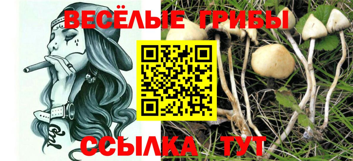 Псилоцибиновые грибы MAGIC MUSHROOMS Хабаровск