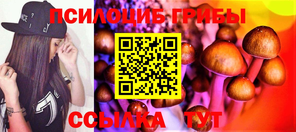 Хабаровск  Псилоцибиновые грибы Psilocybe  Псилоцибиновые грибы Cubensis  Вход с VPN 